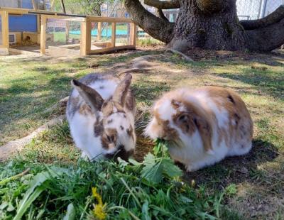 Tom und Tina