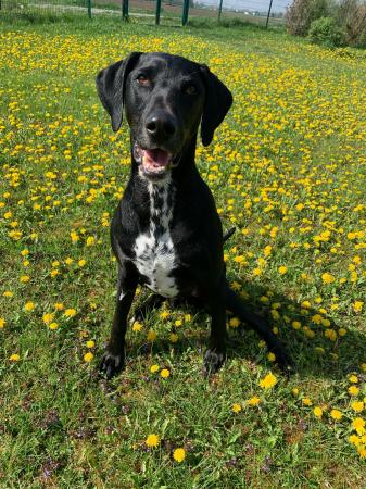 Benny 